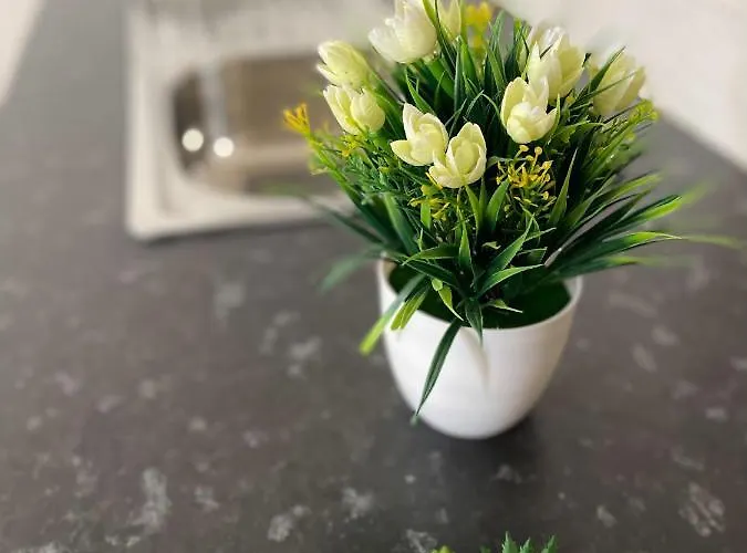 アパート Little Place *